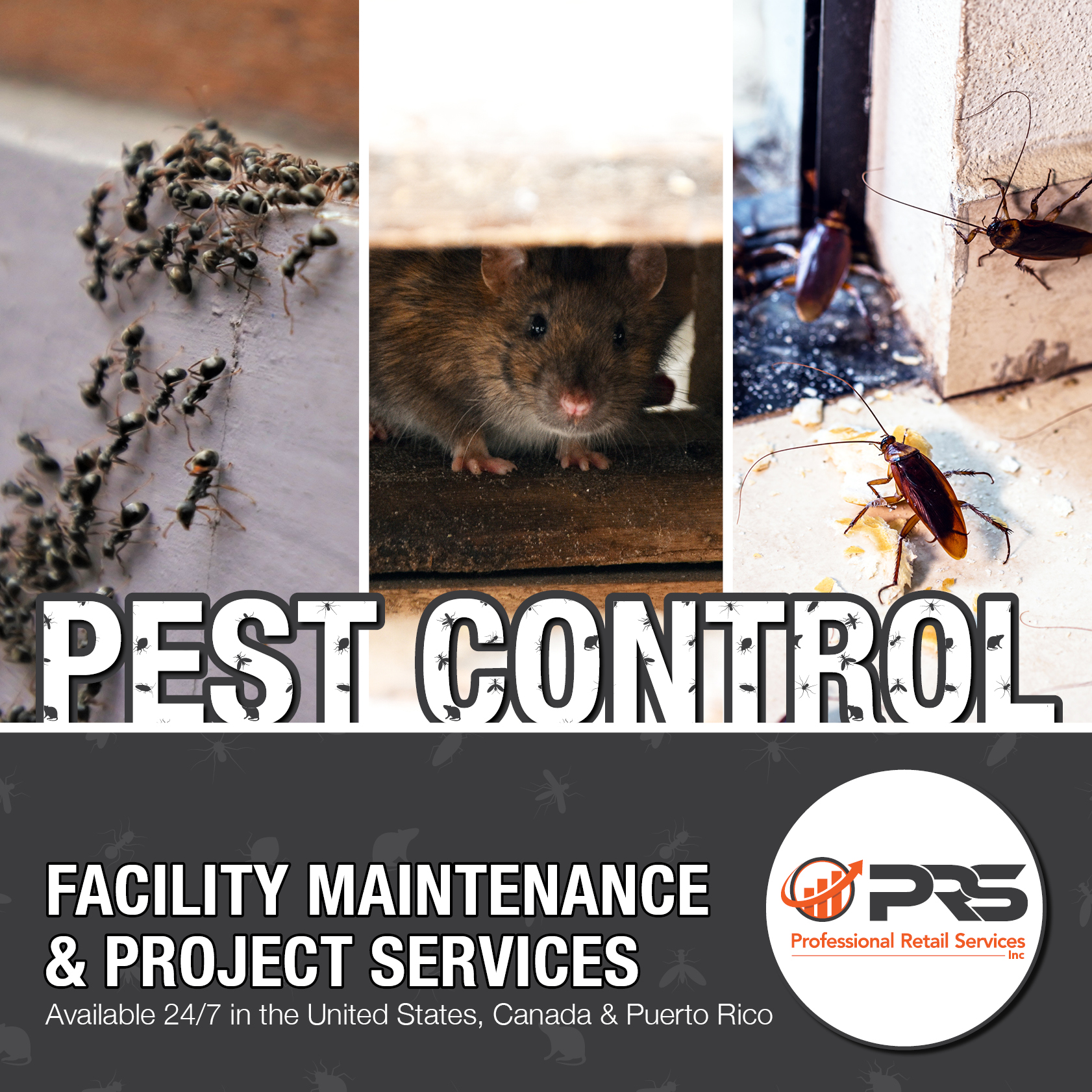 Pest control post